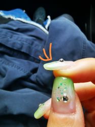 -99·MINI美甲美睫