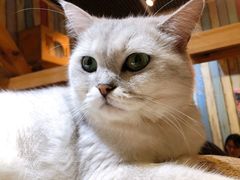 -小时光咖啡馆(开森度假森林店)