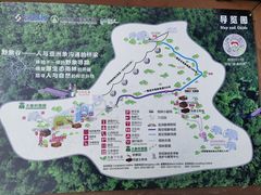 -野象谷景区