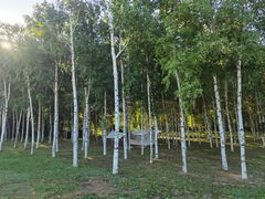 -长春市南湖公园