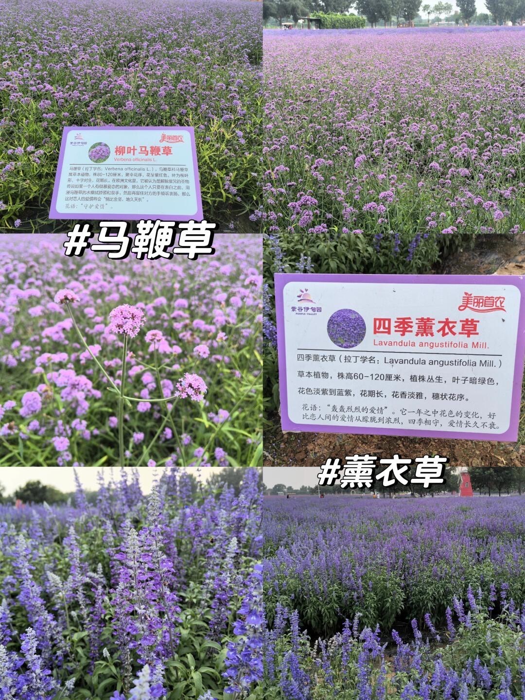 https://qcloud.dpfile.com/pc/lc9rii92nmehFg6AiLs1kG9nGp9ZbxtMoCmXa7OvxWnrelbJCJ-ZkgBTvLjyCA6qY0q73sB2DyQcgmKUxZFQtw.jpg