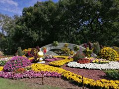 -上海共青森林公园