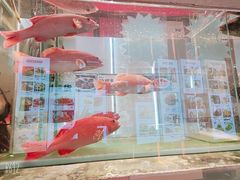 -万龙洲海鲜(广渠门店)