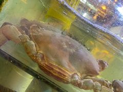 -桥东喜碧海鲜街(水东街店)