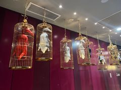 -悦江(梅奔中心店)