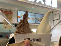 -野人先生现做冰淇淋(西安赛格店)