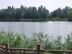 -北坞公园