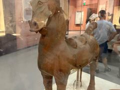-乐山市博物馆