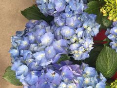 -何适山庄 ·可团建(水长城P2停车场店)