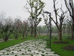 30-阳澄湖费尔蒙酒店