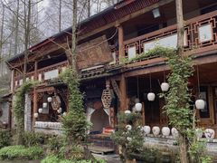 -青城甲(青城山店)