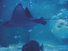 -常州海昌海洋探索馆