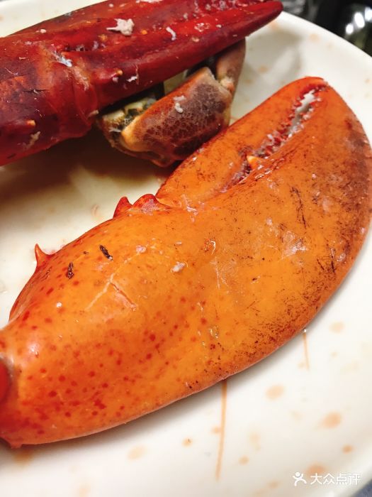 龙虾脚图片 - 第1207张