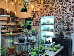 -植觉