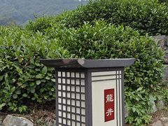 -龙井村