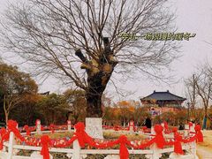 -董永七仙女文化园