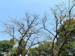 -食膳公园包子铺(烈士公园店)