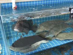 -聚德福海鲜家常菜(刘庄店)