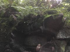 -汤旺河林海奇石景区
