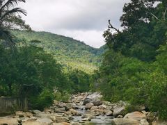-海南热带雨林国家公园吊罗山景区