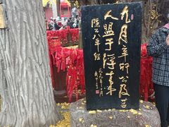 -浮来山风景区