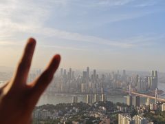 -南山植物园