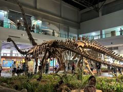 -自贡恐龙博物馆