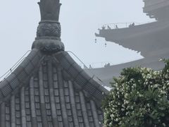 -杭州半山国家森林公园