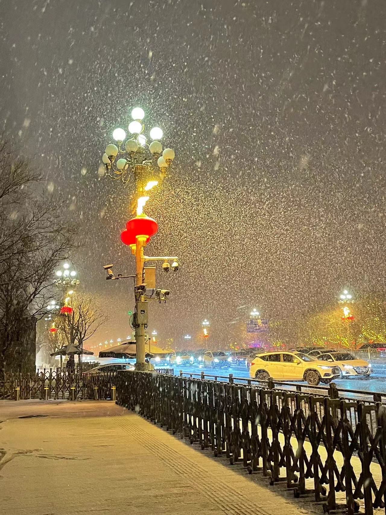 北京下雪的照片图片