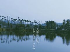-枫香湖儿童公园