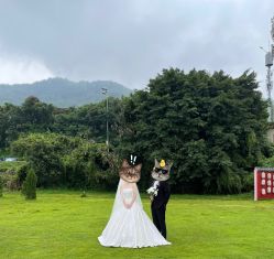 -金夫人婚纱摄影