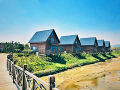 -阳光海岸露营公园