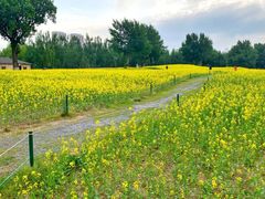 -长白岛森林公园