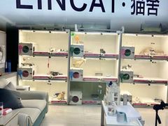 -lincat·猫舍(广州店)