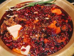 沸炉九宫格-沸炉重庆老火锅(军事博物馆店)