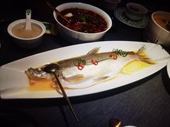 鸡汁大白鱼-南里山房·新淮扬菜(徐汇万科店)