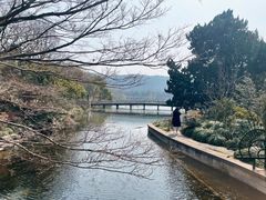 -西湖游船