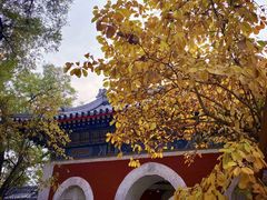 -北京艺术博物馆(万寿寺)