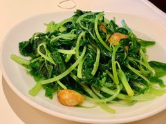 上汤苋菜-利苑酒家(合景国际金融广场店)