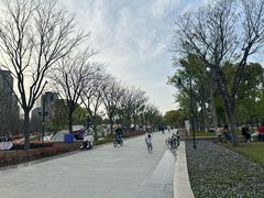 -新江湾城公园