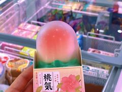 -洋洋爸雪糕(万科店)