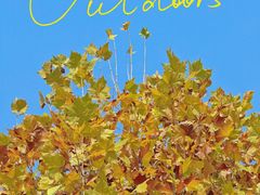 -洋湖国家湿地公园