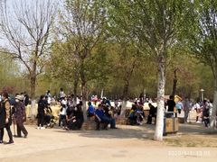 -长白岛森林公园