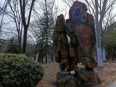 -合肥野生动物园