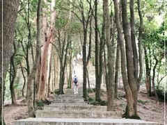 -火炉山森林公园