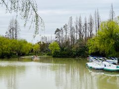 -上海滨江森林公园
