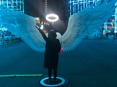 -锦江乐园舞狸花花游园会(夜场专享)