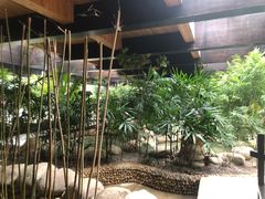 -三江森林温泉度假区