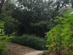 -南翠屏公园