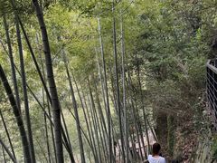 -WILDS 野有食(碧坞店)